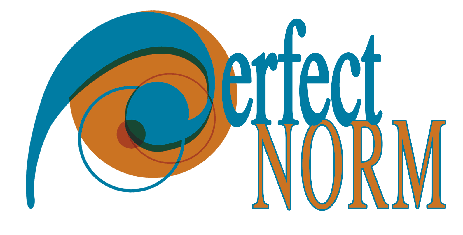 Perfect Norm Logo